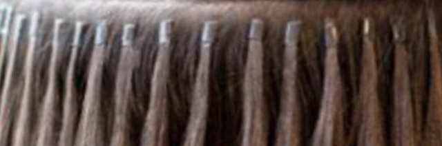 Rapunzel Pro ™